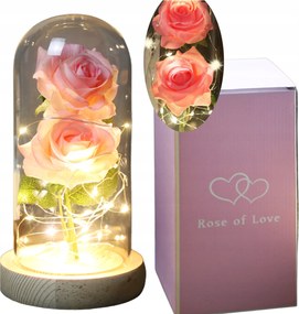 Rózsaszín Rózsa Üvegburában Mű Örök Rózsaszín Led Ajándék Lánynak