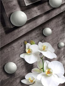 Fotótapéta Fehér orchideák Szürke és geometria 184x254 vinil +ragasztó