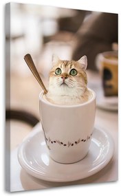 Gario Vászonkép a konyhában Coffee Cat - Galina Bugaevskaya Méret: 40 x 60 cm