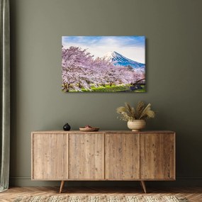 Kép - Japán tavasszal (90x60 cm)