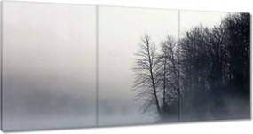 Vászonkép 60x30 Ködös erdő Tél