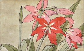 Flizelina Dekoratív Fotótapéta Hálószobába Liliom virágok 416x254 Ragasztó