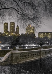 Poszter 21x29,7cm Központi park Manhattan panorámával, Assaf Frank