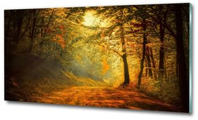 Üvegfotó Erdő ősszel osh-60738927