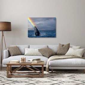 Üveg kép - Púpos (70x50 cm)