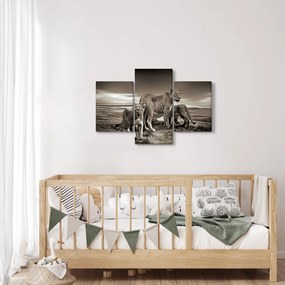 Fekete fehér tigris képe (90x60 cm)