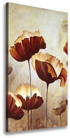 Egyedi vászonkép Vadvirágok pipacsok ocv-95025944