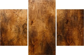 Kép - Fa részlete (90x60 cm)