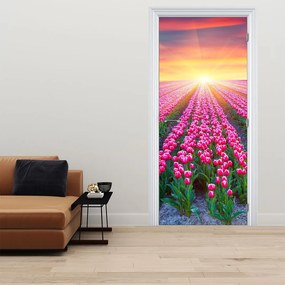 Fotótapéta ajtóra - Tulipán mező napsütésel (95x205cm)
