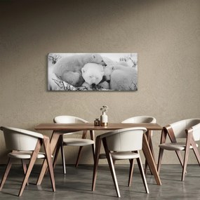 Kép - Jegesmedvék (120x50 cm)