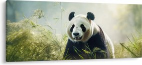 Kép - Panda (120x50 cm)