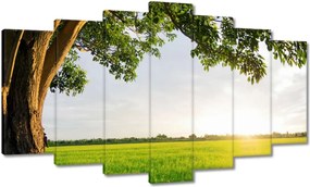 Festmények 140x80 Misztikus naplemente