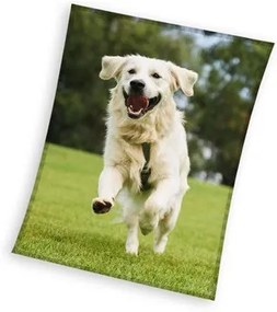 Kutyás Happytail Retriever coral fleece polár takaró 150x200cm