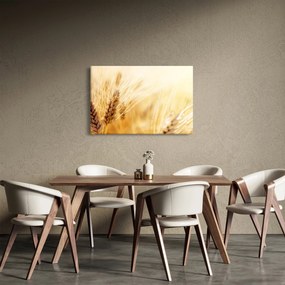 Kép - részlet gabona (90x60 cm)