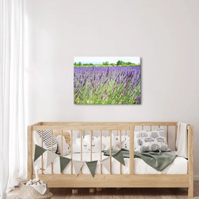 Egy mező képe a levendulával (70x50 cm)