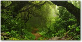 Fotó üvegfestmény Dzsungel Nepálban 140x70