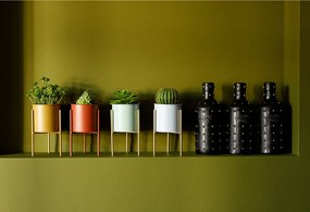 2 darabos virágtartó szett, kék/neo mint/arany, ROZEL SET