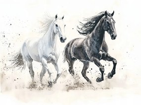 Canvas Vászonkép Akvarell Ló Fehér Fekete Galopp Feszes 40x40