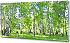 Fotó üvegkép Csipkebogyó virágok 125x50