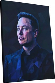 Vászonkép Portré Elon Musk nappali Elon Musk ajándék 45x60