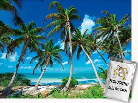 Fotótapéta Flizelina Tájkép Egzotikus Tengerpart Pálmafák Óceán Kilátás 200x140 ragasztó