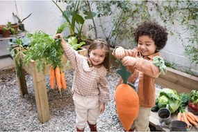 Gyerek párna Cathy the Carrot – Lorena Canals