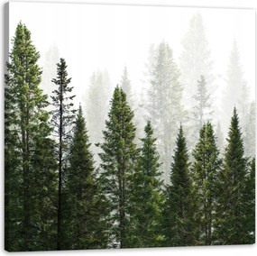 Vászonkép Esőerdő Természet Fák 50X50 cm Ajándéknak is tökéletes
