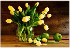 Poszterek 200x135 Sárga tulipánok
