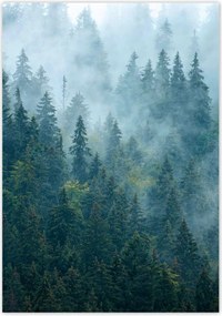 Poszterek A4 Pion Erdő a ködben Utazás