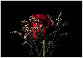 Poszterek 100x70 Rózsa Virág Virágok Rózsa