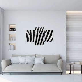 Kép egy zebra bőrről (90x60 cm)