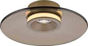 Paul Neuhaus modern mennyezeti lámpa pure moon barna pln6094-97