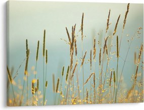 Kép - Réti pillanat (70x50 cm)