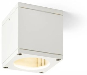 RENDL-R13503 RODGE Fehér Színű Kültéri Mennyezeti Lámpa 1x35W GU10 IP54