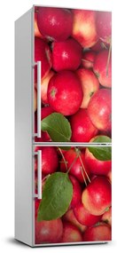 Dekor matrica hűtőre Piros alma FridgeStick-70x190-f-91288454
