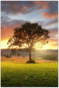 Poszterek 80x120 Varázslatos tájkép