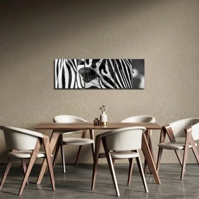 Zebra képe (órával) (90x30 cm)