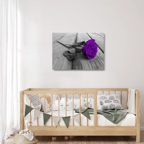 Üveg kép - Lila rózsa zöld szárral (70x50 cm)