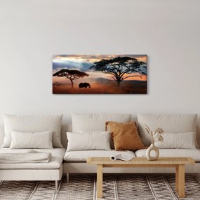 Kép - Serengeti Nemzeti Park, Tanzánia, Afrika (120x50 cm)