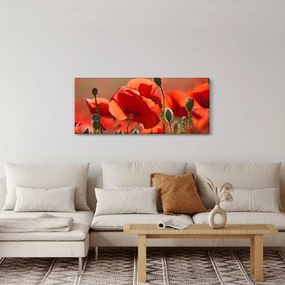 Pipacsok képe (120x50 cm)