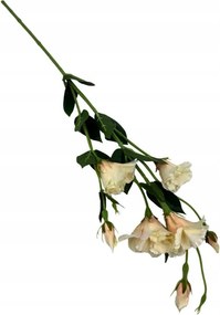 Eustoma ág 80 cm világos barack