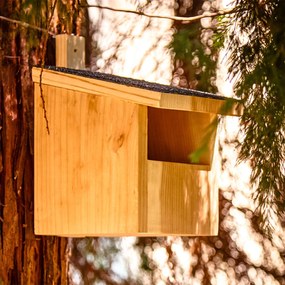 Madárház félüregekben fészkelő madarak számára, felakasztható szerkezet, aszfalt tető, vörös cédrus