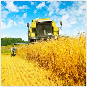 Poszterek 100x100 Kombájn gabona kaszálás