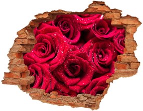 Lyuk 3d fali matrica Csepp rózsák nd-c-122317792