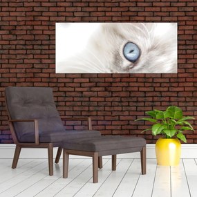Kép - Kék szemű macska (120x50 cm)