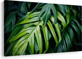 Kép - trópusi levelek (90x60 cm)