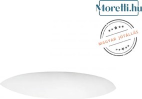 Fali Lámpa Fehér ELEGANCE AUSTROLUX 219-60-1