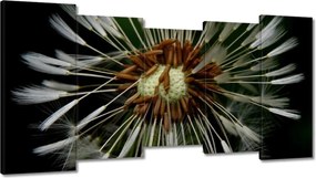 Vászonkép 150x80 Pitypang Virág Virágok