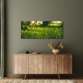 Tájkép - rét (120x50 cm)