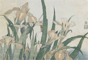 Flizelina Dekoratív Fotótapéta Hálószobába Finom íriszek 152x104 Ragasztó